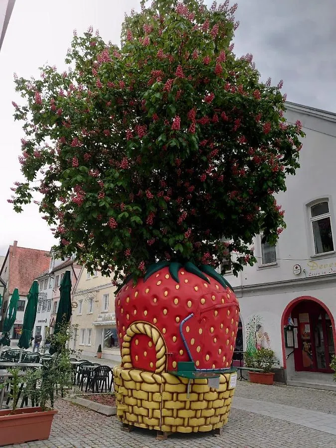 Appartamento Ferienwohnungen Boegner Günzburg Germania
